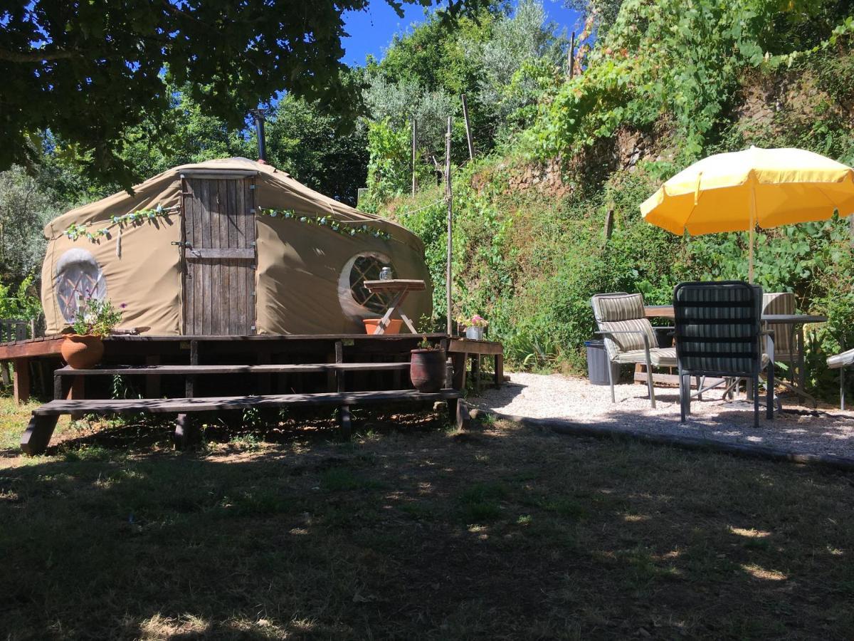 Star Gazing Luxury Yurt With River Views, Off Grid Eco Living Vale do Barco Luaran gambar